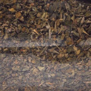 Damiana 25g